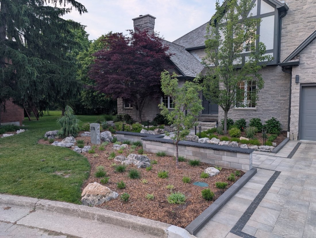 Front-yard stone-faced bed with Japanese maple