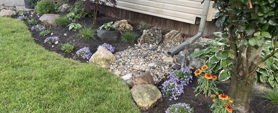 Dry river-rock drainage bed with perennials