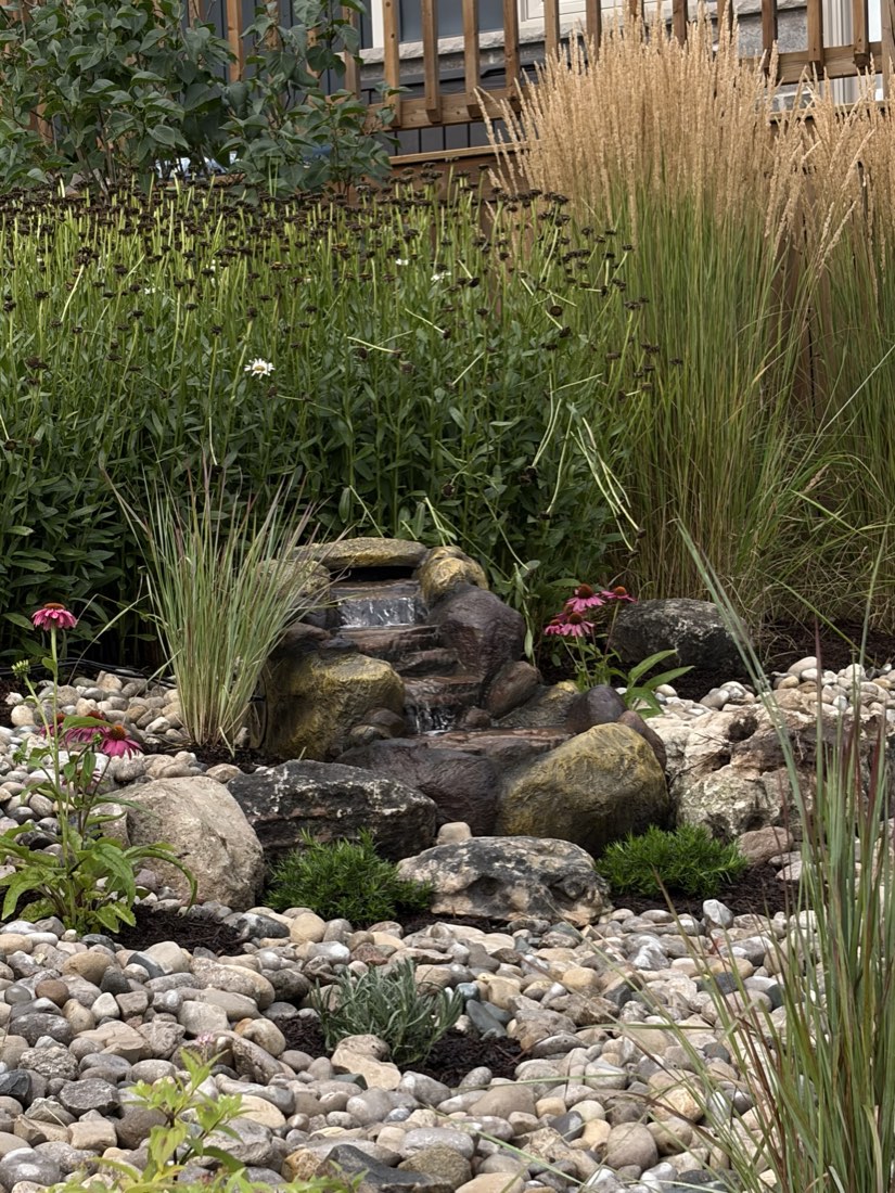 Water feature with blooming perennials along a cedar fence