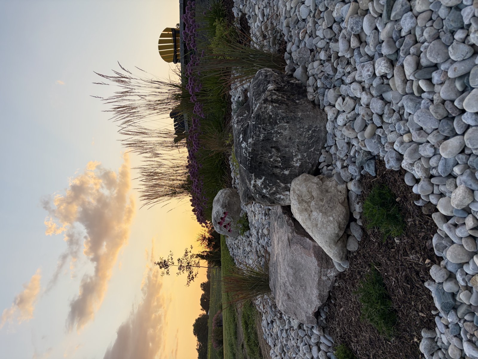 A rock garden with ornamental grasses at sunset